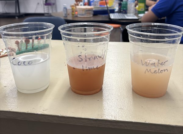 First attempt results — three flavors mixed and ready to taste