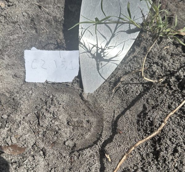 Cataloging artifacts found at the dig